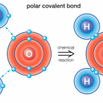 Polar Covalent Bond: Definitions, Types and Examples