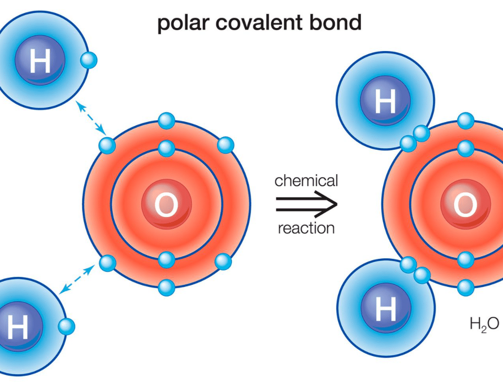 polar-covalent-bond-definitions-types-and-examples