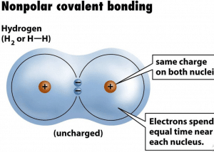 What is Nonpolar Covalent Bond? Compounds & Properties