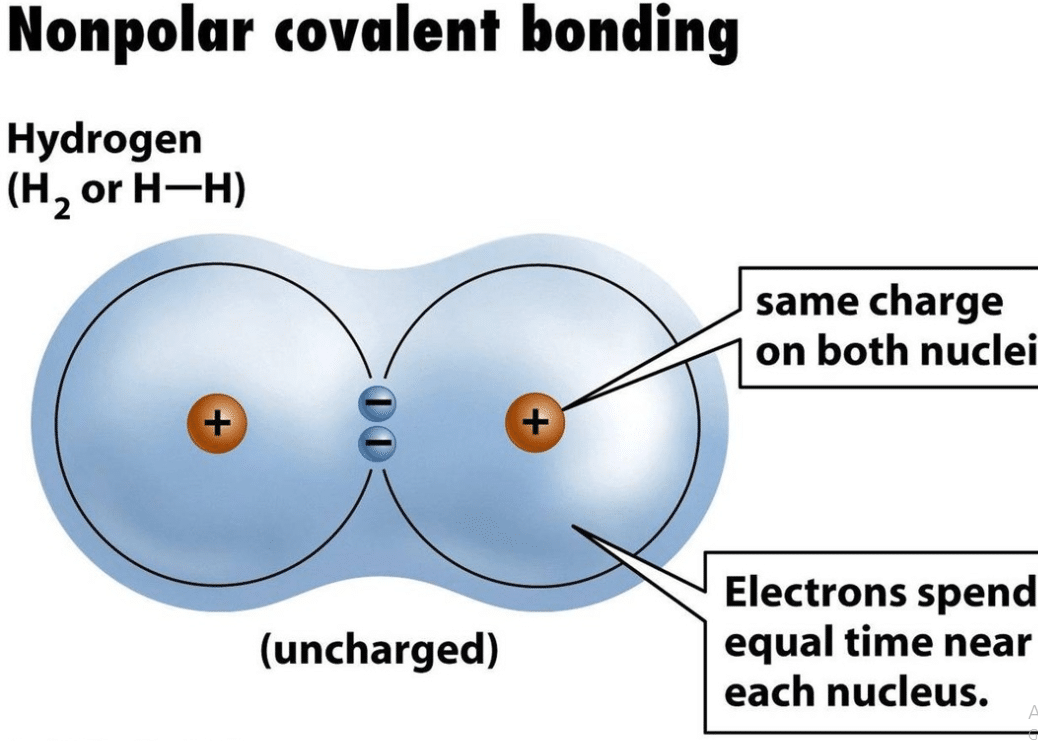 Nonpolar Covalent Bond