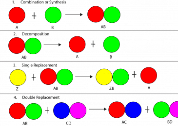 Stoichiometry Calculator- Formulas, Problems, Applications