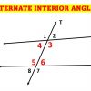 Alternate Interior Angles: Examples, Definition, Theorem