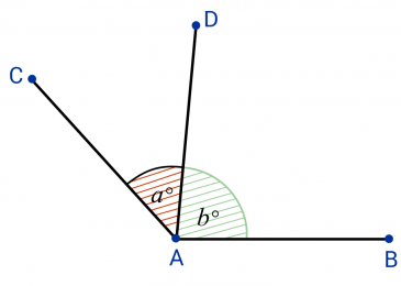Adjacent angle — all the explanations