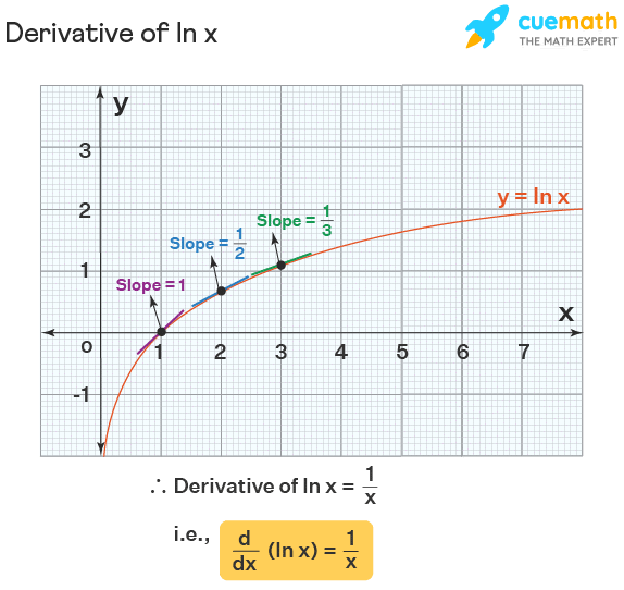 The Derivative Of Ln X All You Need To Know Education Tips